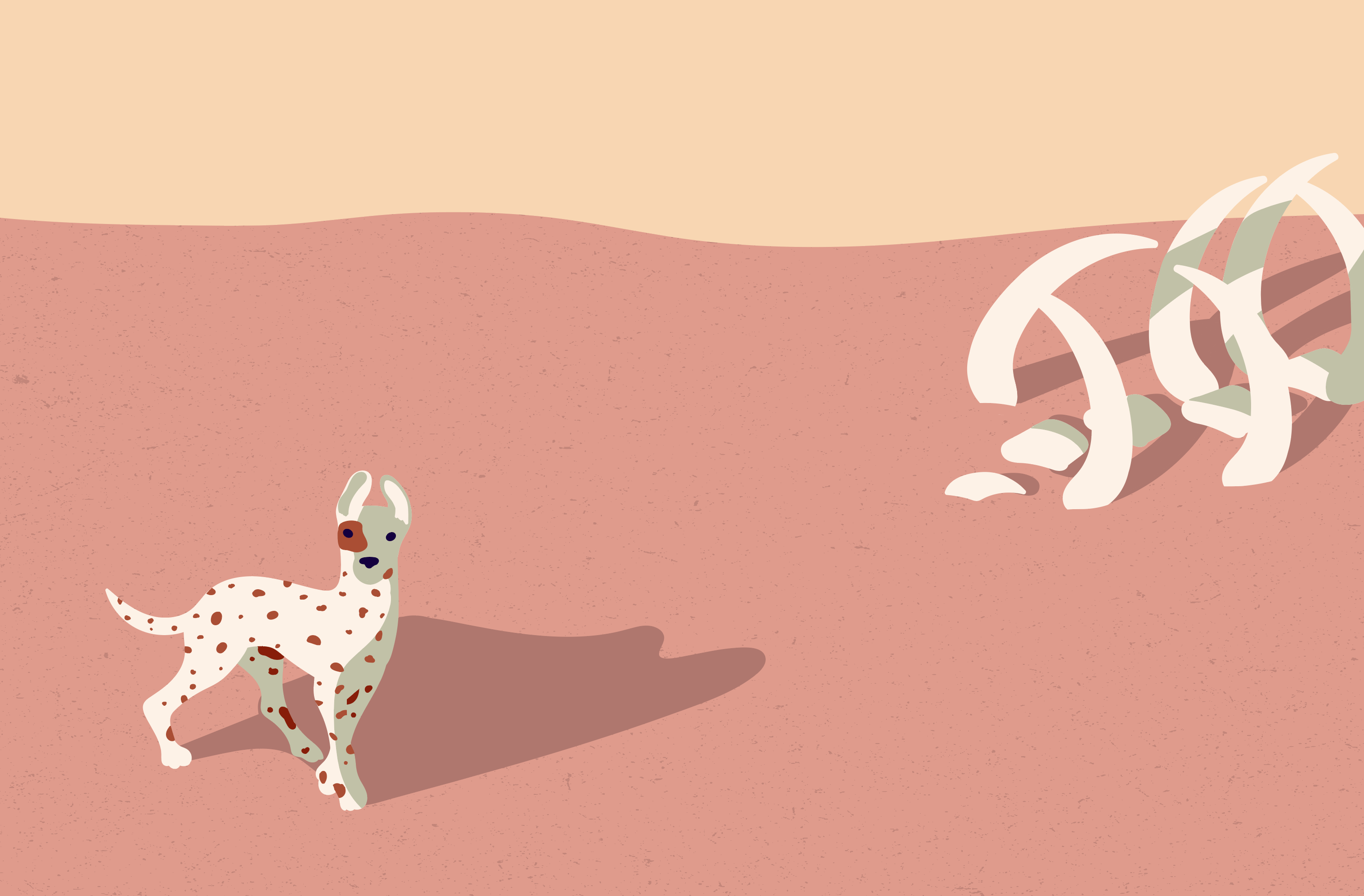 Desert Dog